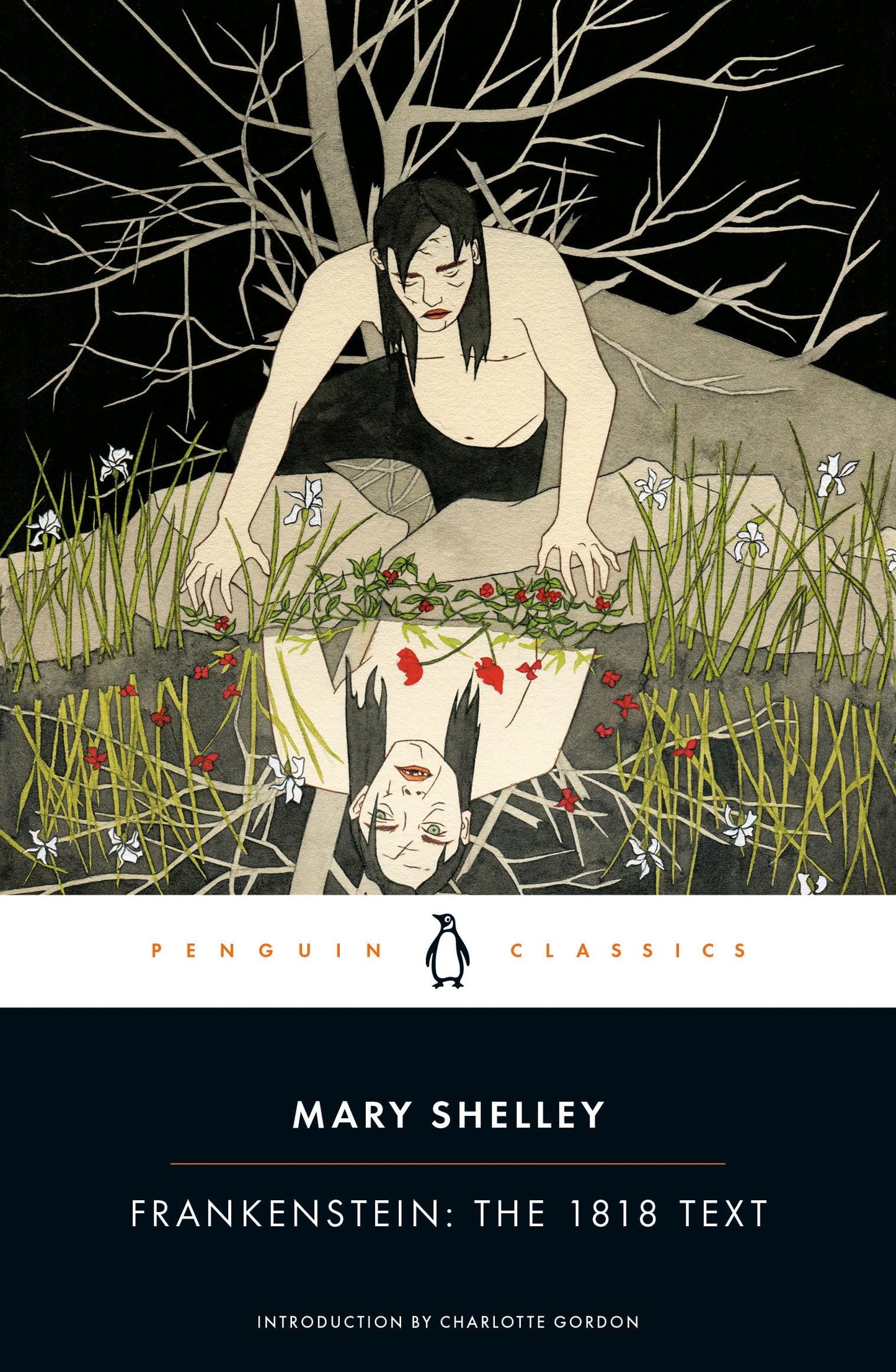 Frankenstein: The 1818 Text (Penguin Classics) - 6072