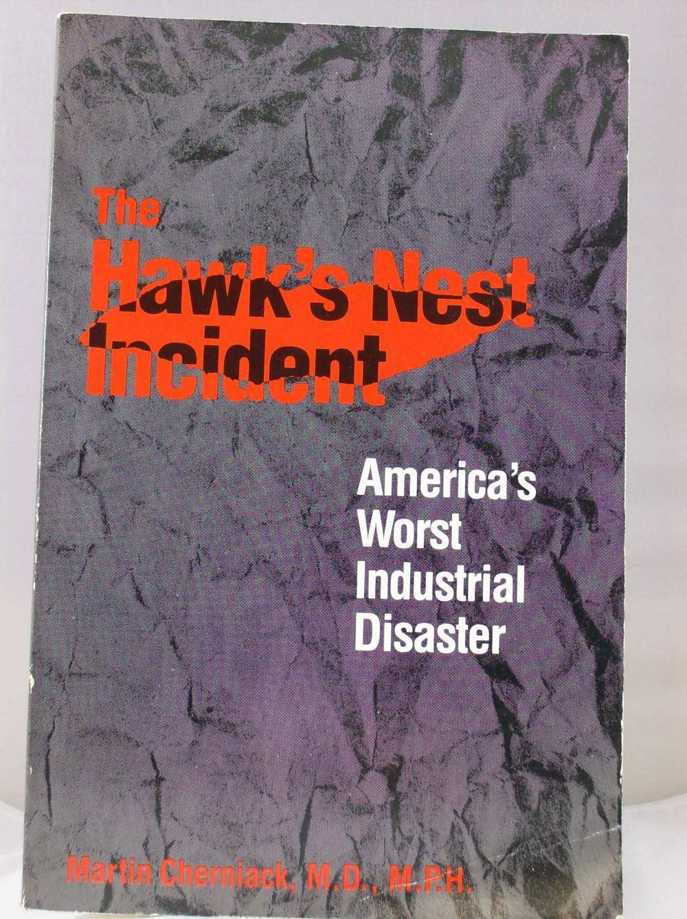 The Hawk's Nest Incident: America`s Worst Industrial Disaster - 1075