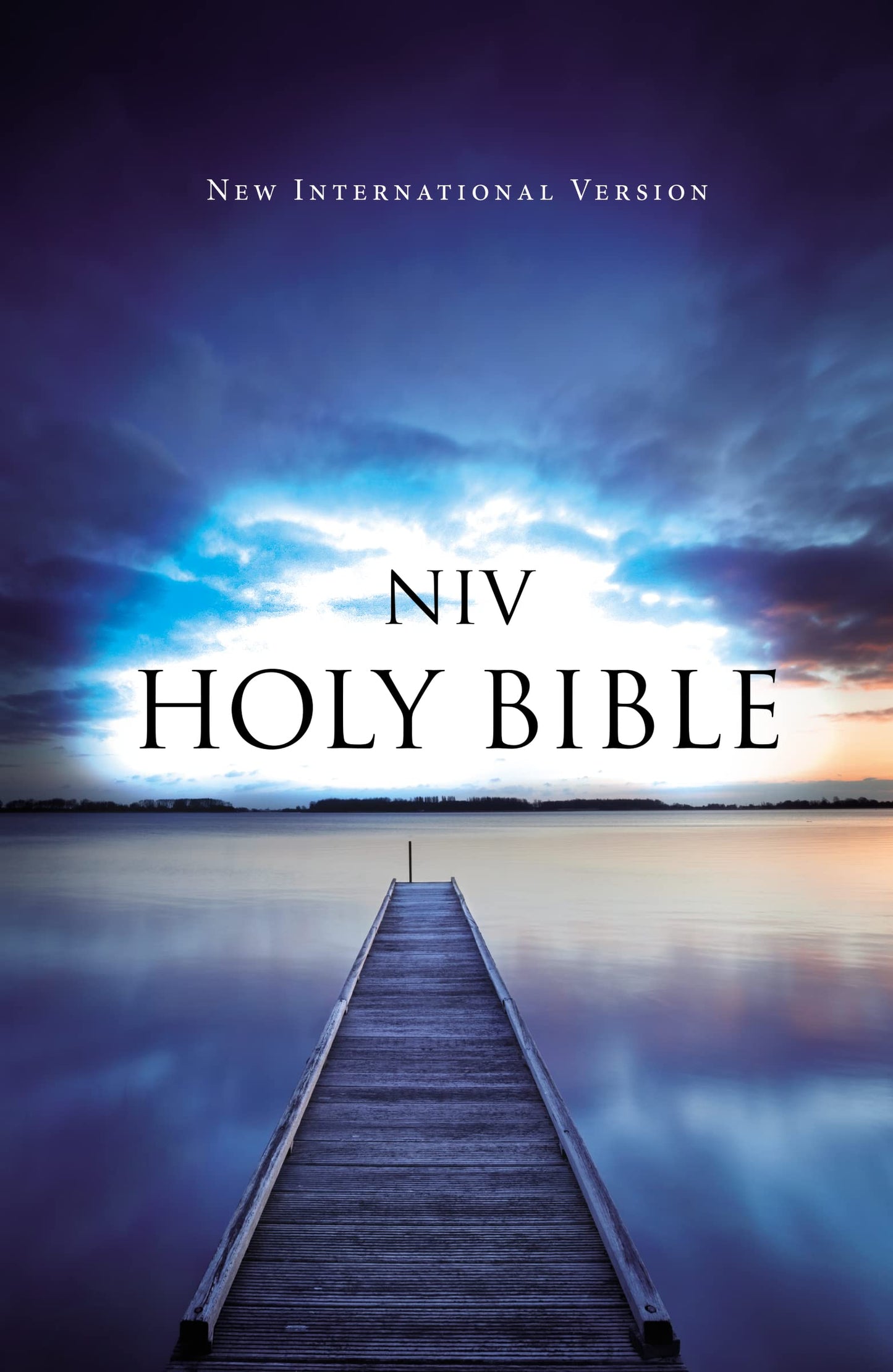 NIV, VALUE OUTREACH BIBLE, PAPER - 9393