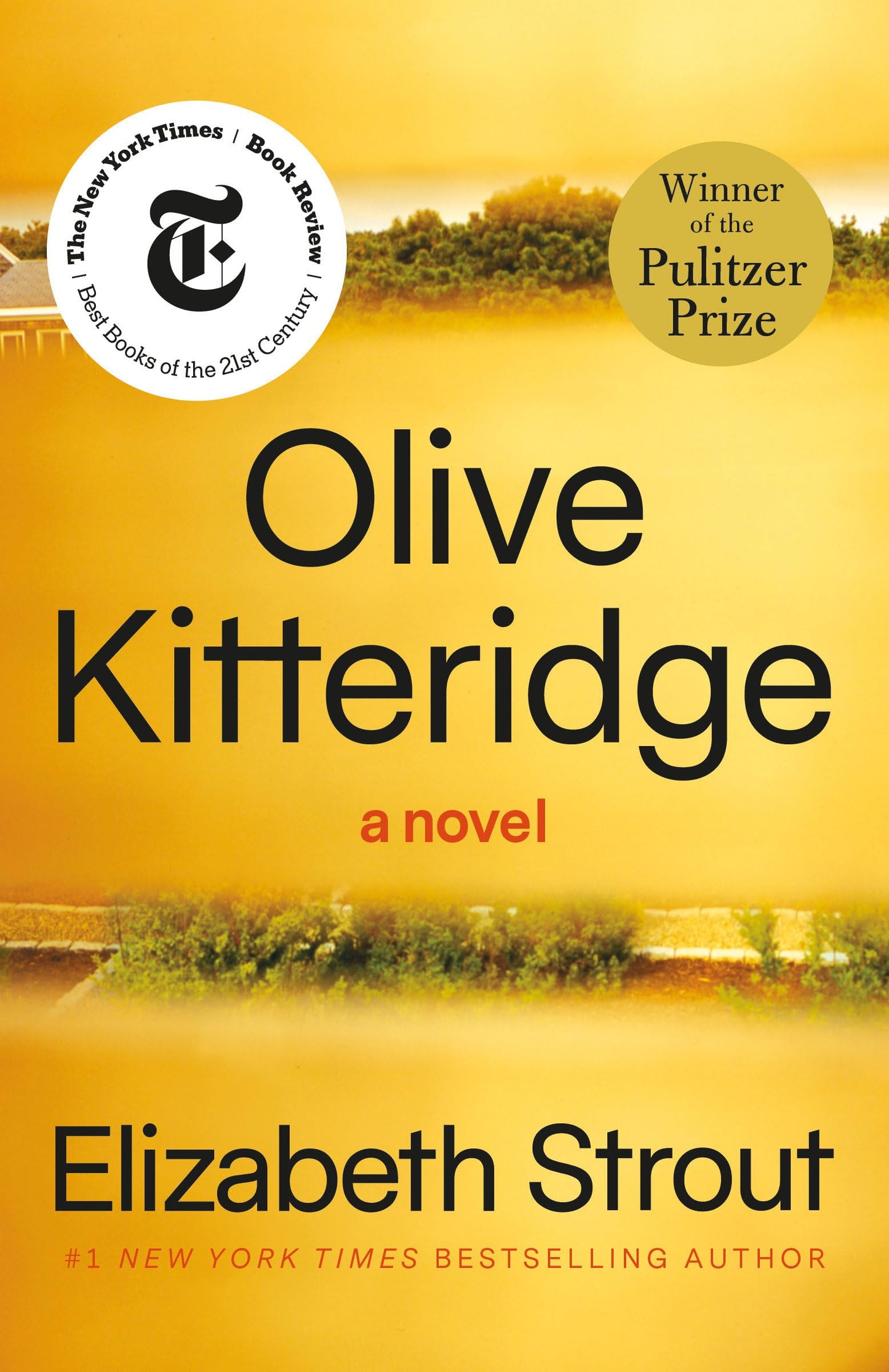 OLIVE KITTERIDGE - 2559