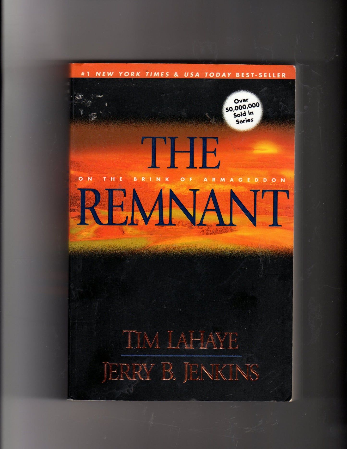 The Remnant: On the Brink of Armageddon (Left Behind) - 4655