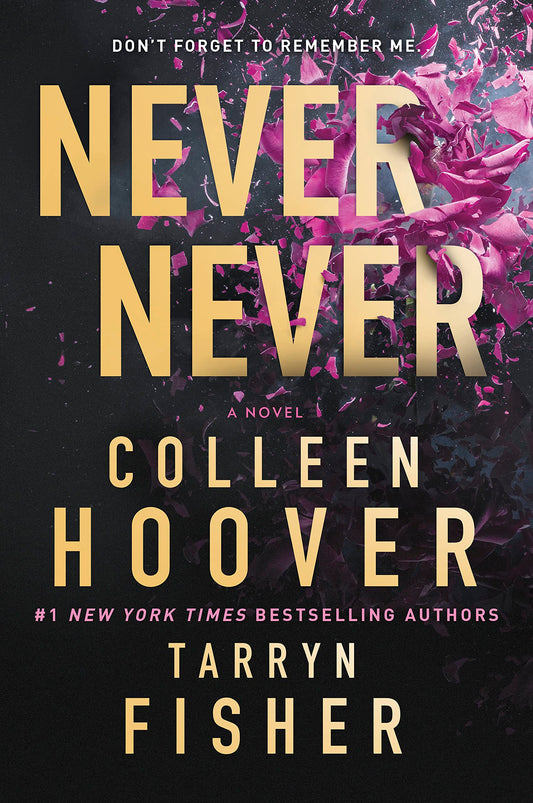 Never Never: A twisty and devastating romantic mystery