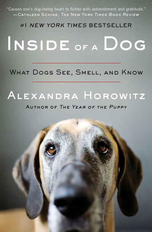 INSIDE OF A DOG: WHAT DOGS SEE, - 5511