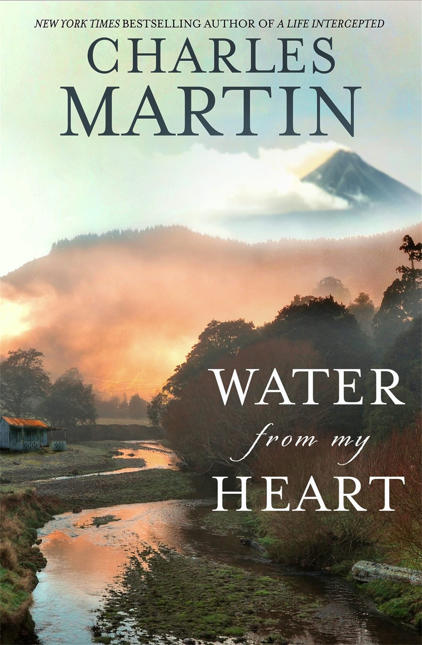 Water from My Heart: A Novel - 3310