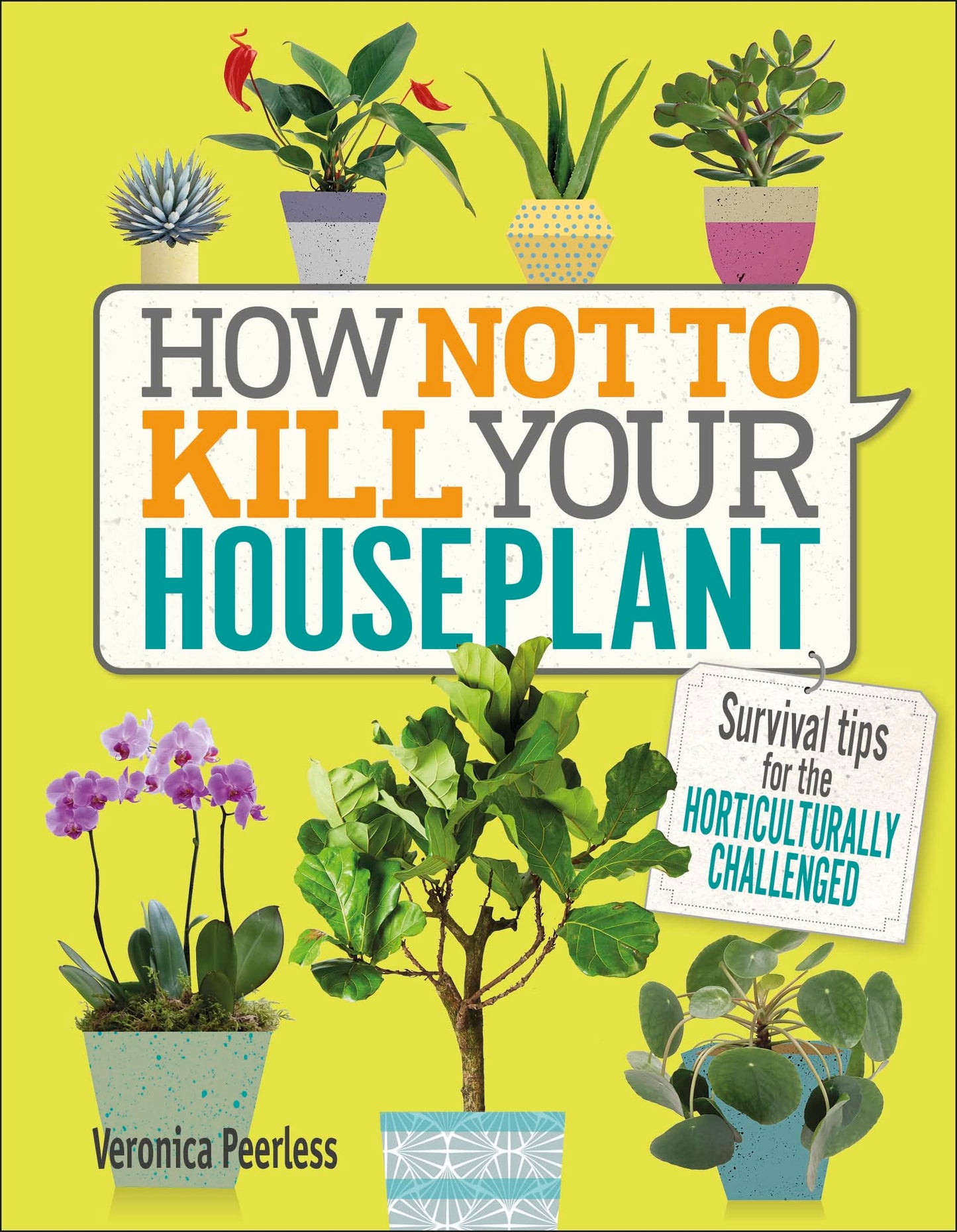 How Not to Kill Your Houseplant: Survival Tips for the Horticulturally Challenged