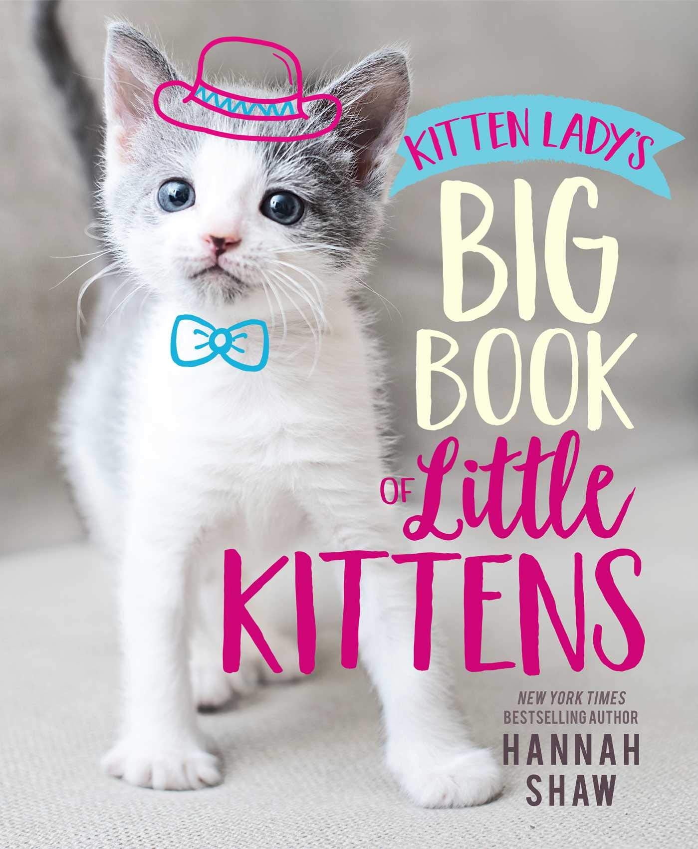 KITTEN LADY'S BIG BOOK OF LITTLE