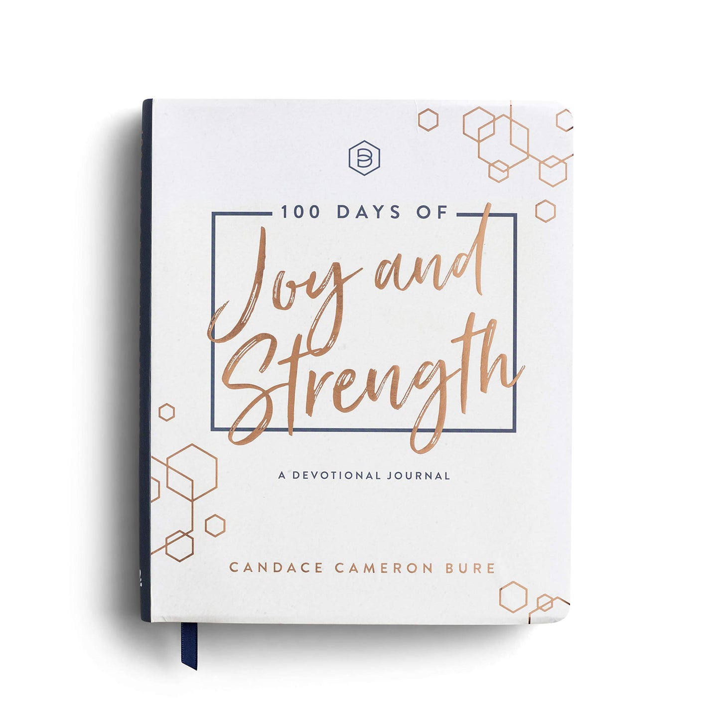 100 Days of Joy and Strength: A Devotional Journal