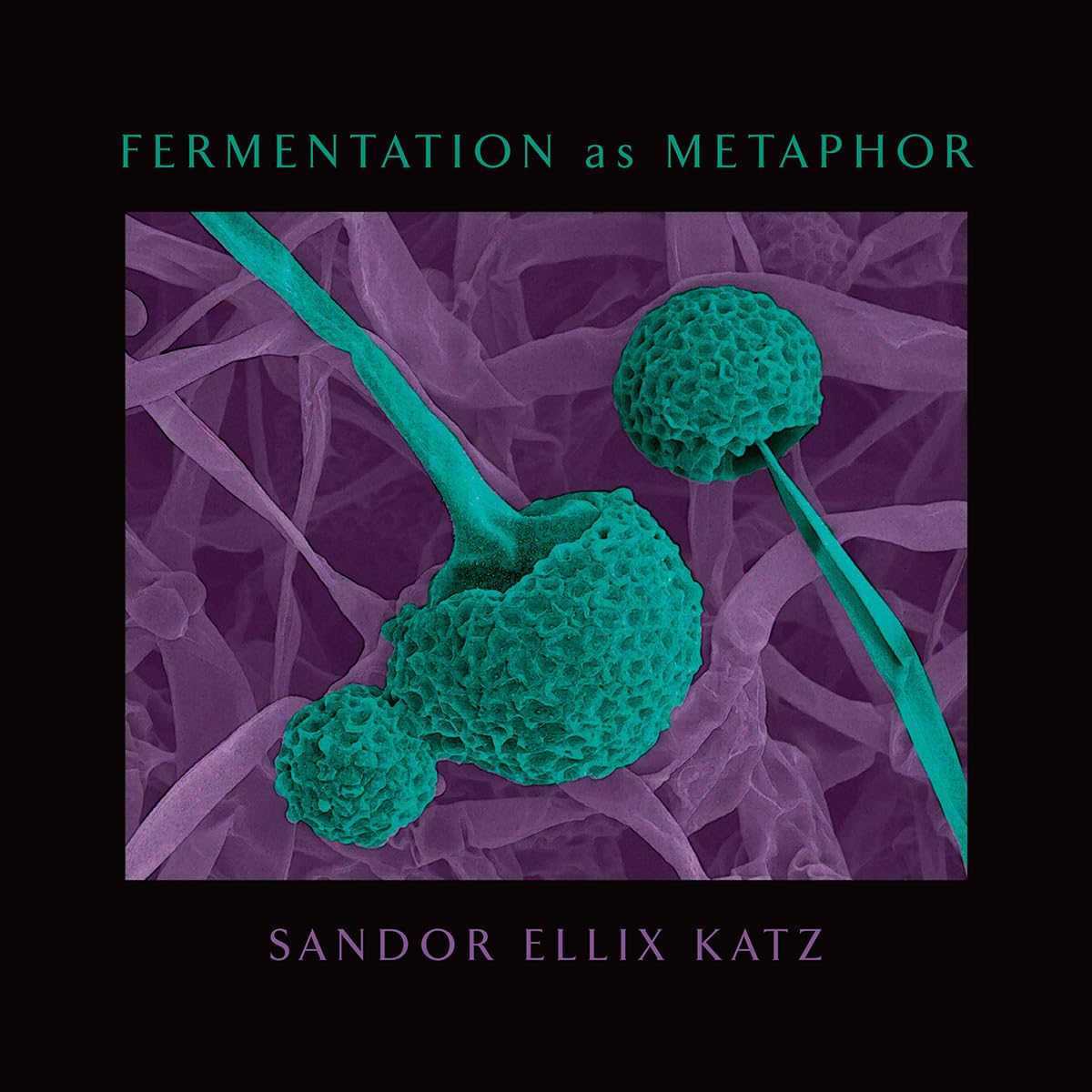 Fermentation as Metaphor: From the Author of the Bestselling "The Art of Fermentation" - 5589