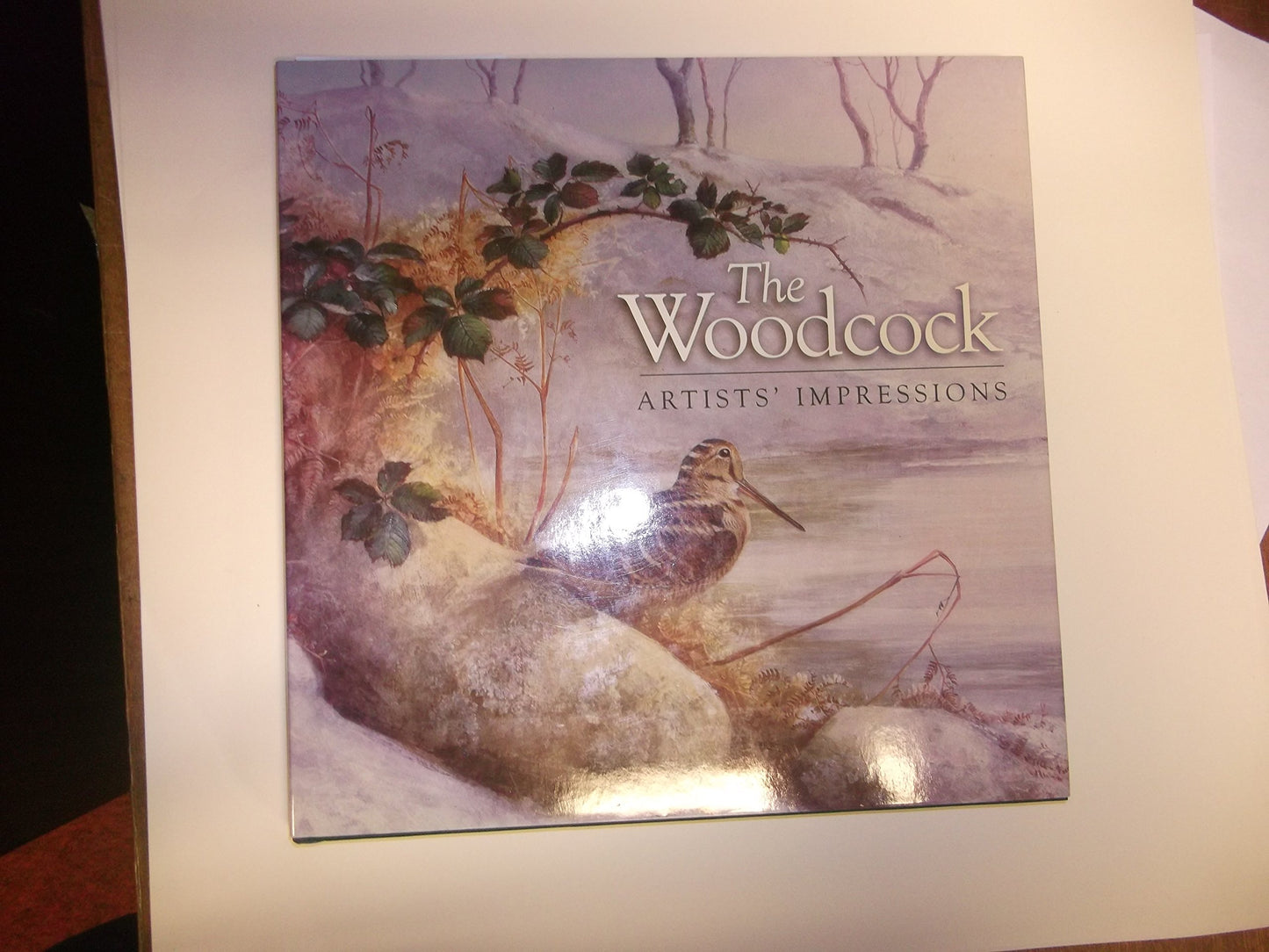 The Woodcock: Artist's Impressions