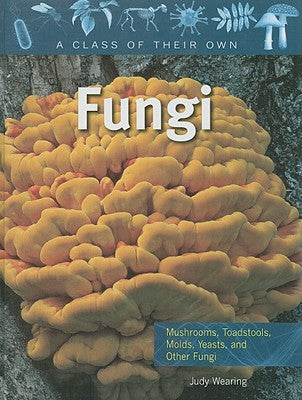 Fungi: Mushrooms, Toadstools, Molds, Yeasts, and Other Fungi (Class of Their Own)