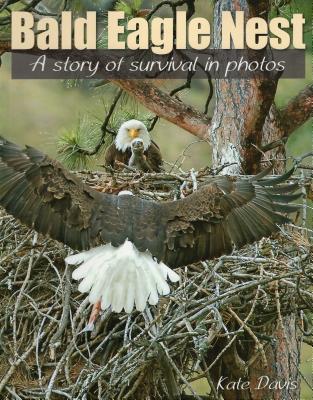 Bald Eagle Nest: A Story of Survival in Photos