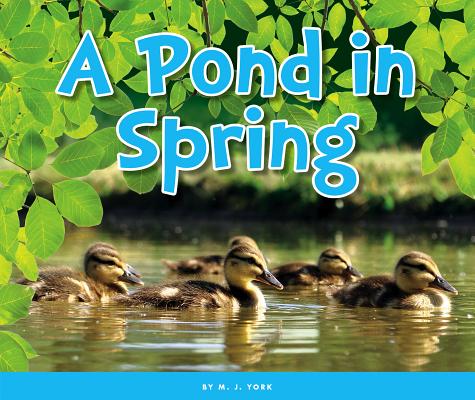 A Pond in Spring (Welcome, Spring!)