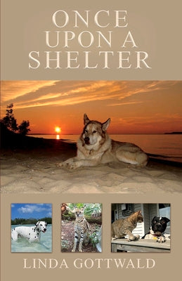 Once Upon a Shelter (1)