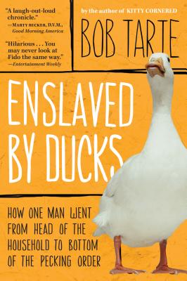 Enslaved by Ducks