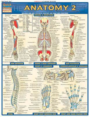 Anatomy 2 - Reference Guide (8.5 x 11): a QuickStudy Laminated Reference Guide (QuickStudy Academic)