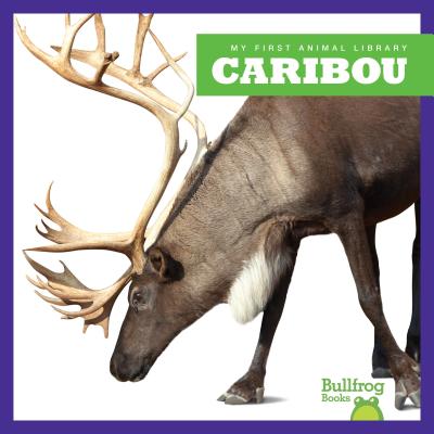 Caribou (Animals That Live in the Tundra)