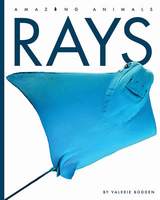 Rays: Animals with an Electric Charge (Secrets of the Animal World)