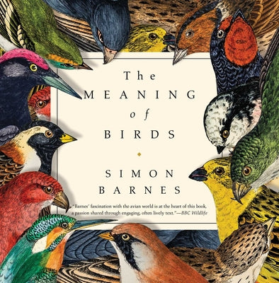 The Meaning of Birds