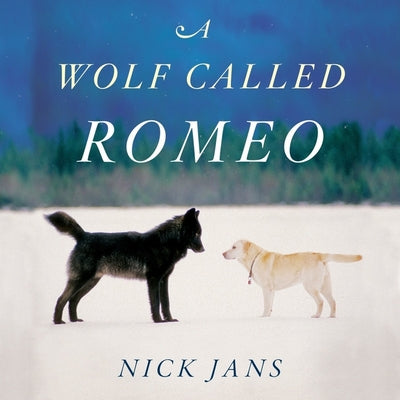 A Wolf Called Romeo