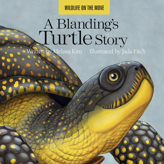 A Blanding’s Turtle Story (Wildlife on the Move) - 3192