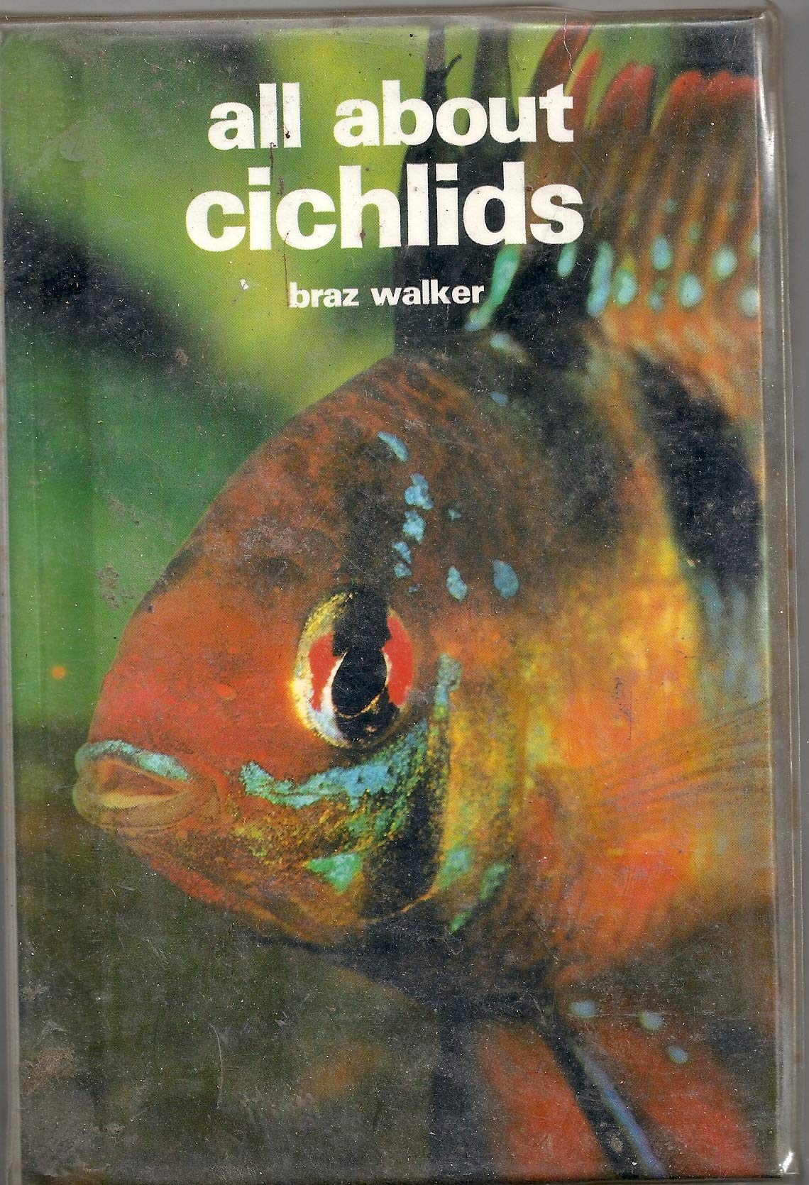 All About Cichlids