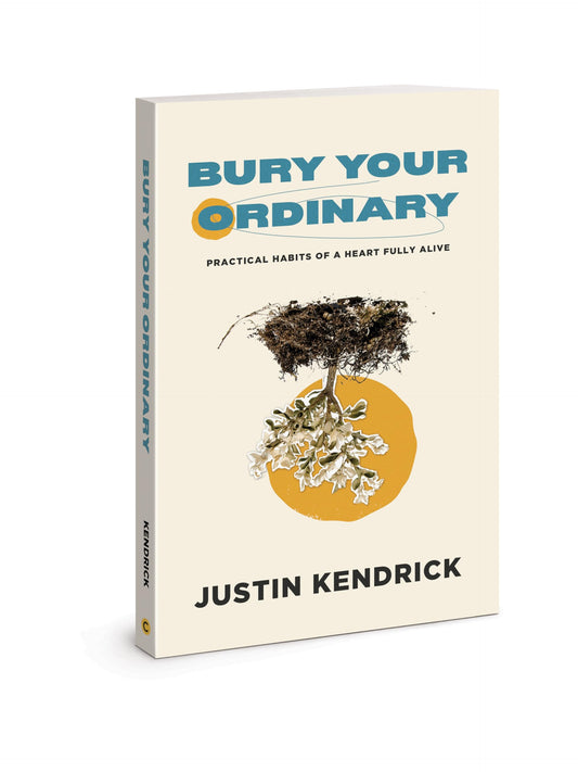 Bury Your Ordinary - 7403