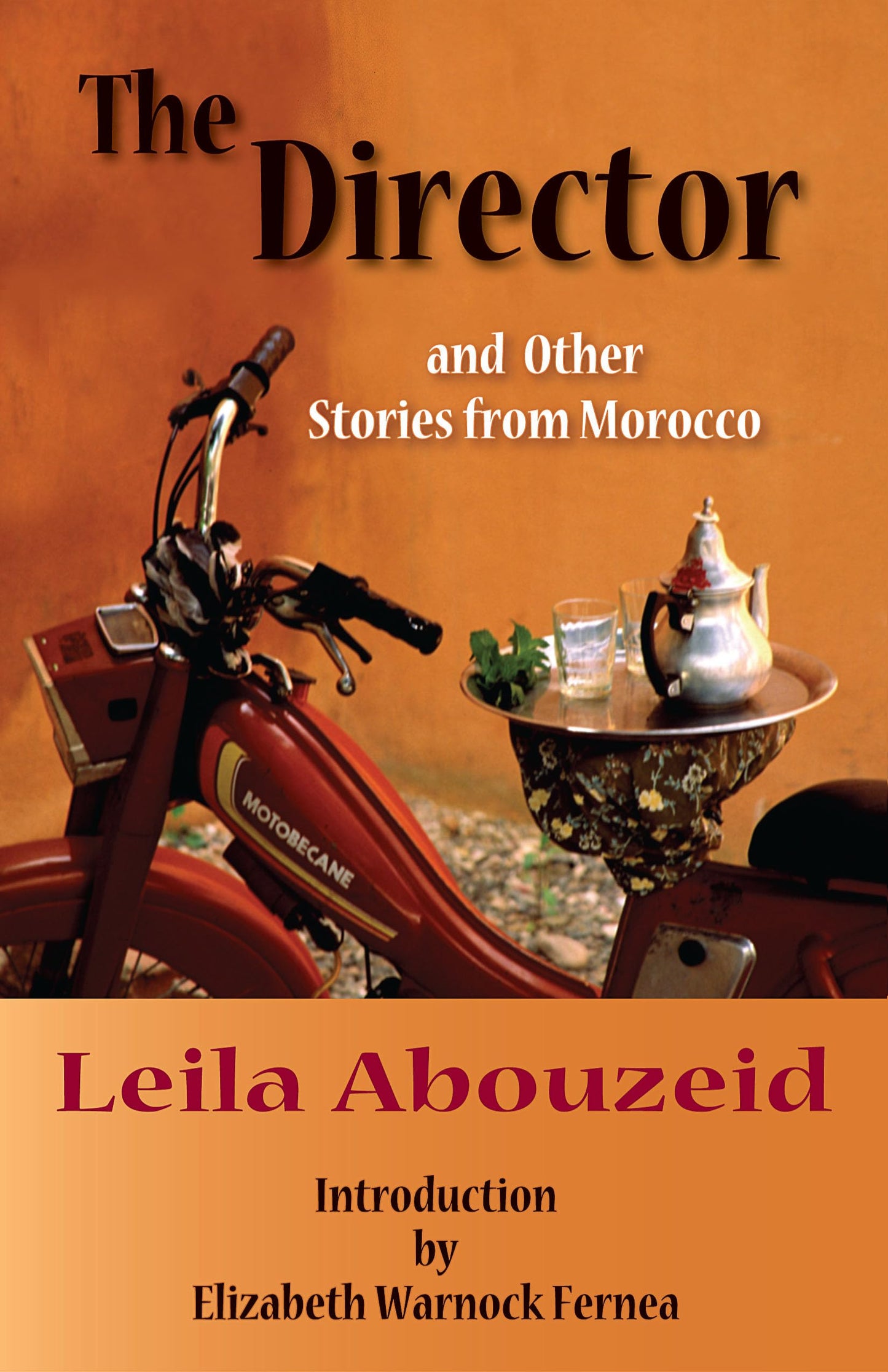 The Director and Other Stories from Morocco (CMES Modern Middle East Literatures in Translation)