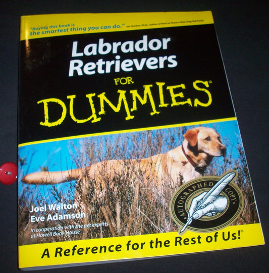 Labrador Retrievers for Dummies - 3656