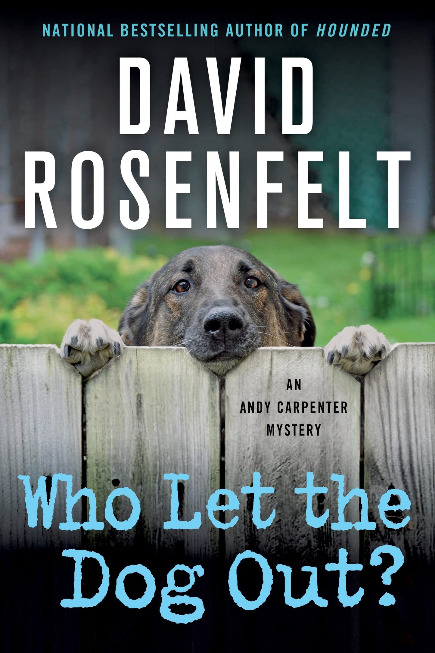 Who Let the Dog Out?: An Andy Carpenter Mystery (An Andy Carpenter Novel, 13) - 8476