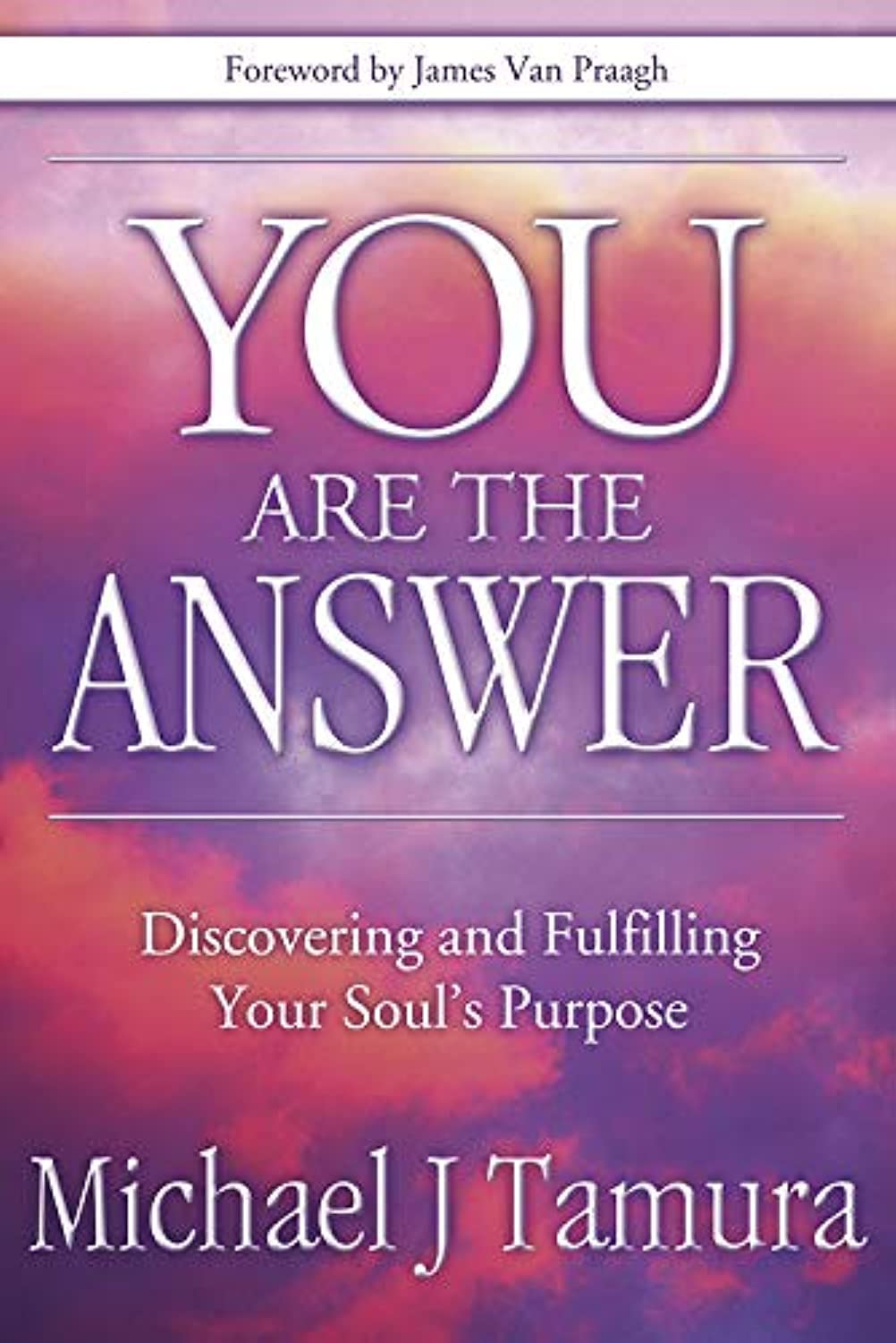 You Are the Answer: Discovering and Fulfilling Your Soul's Purpose - 9419