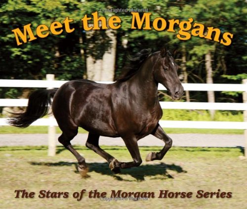 Meet the Morgans: The Stars of the Morgan Horse - 4593