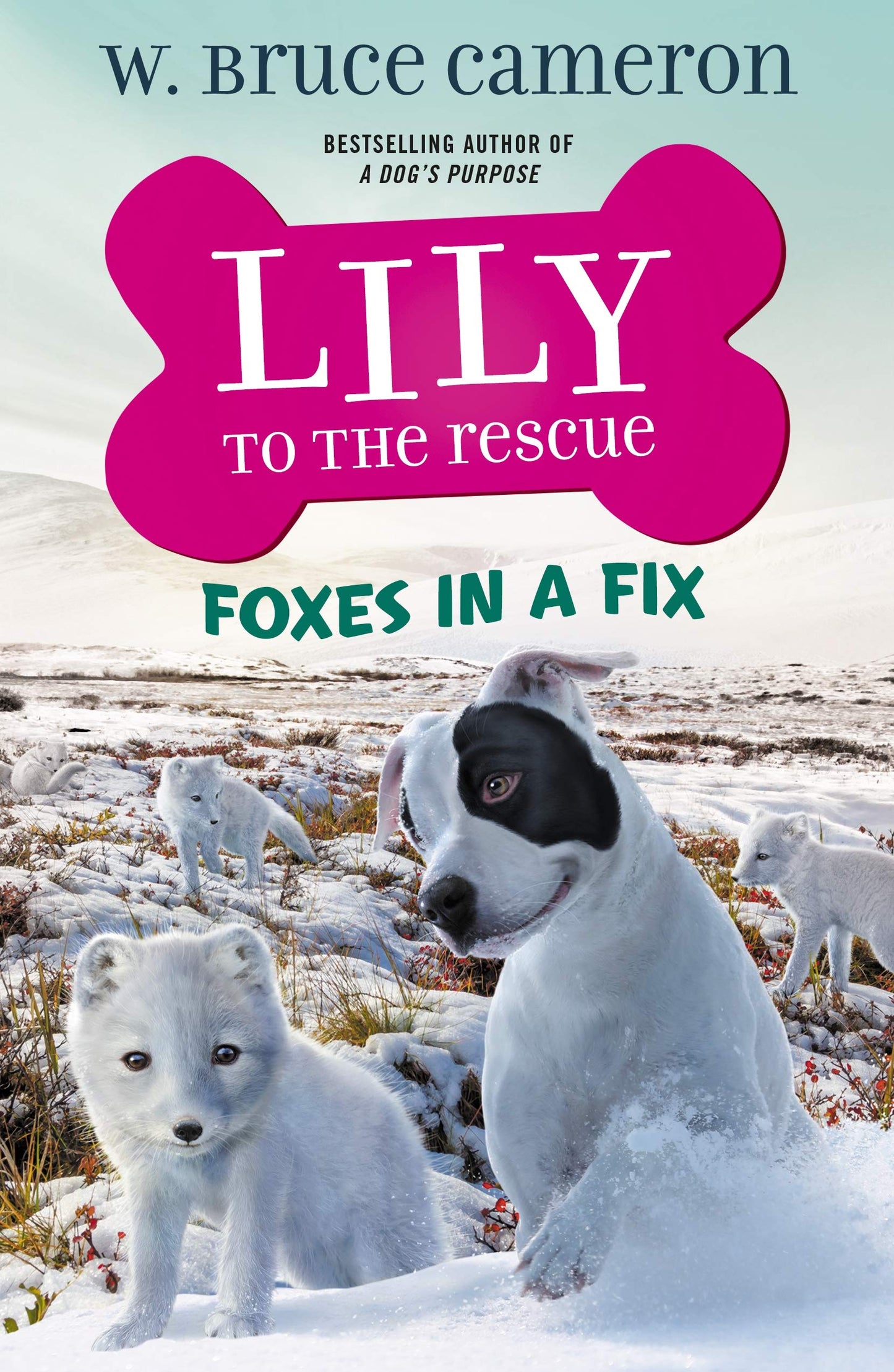 Lily to the Rescue: Foxes in a Fix (Lily to the Rescue!, 7) - 1773