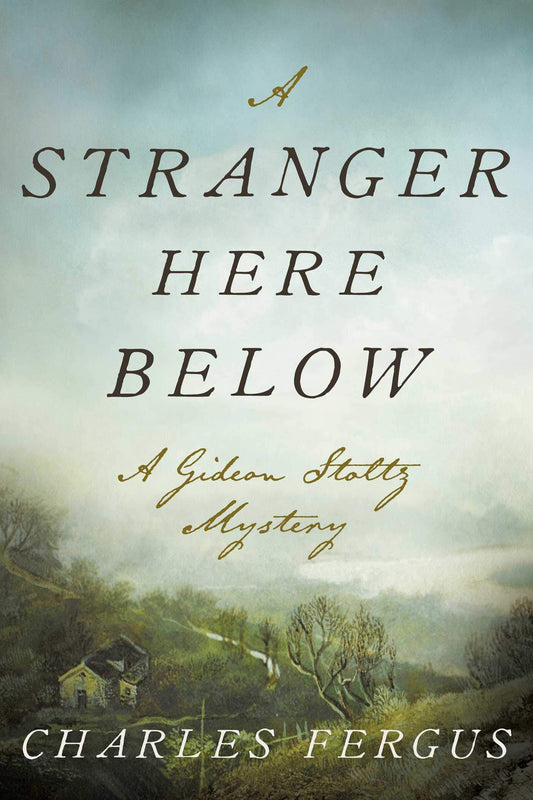 A Stranger Here Below: A Gideon Stoltz Mystery (Gideon Stoltz Mystery Series)