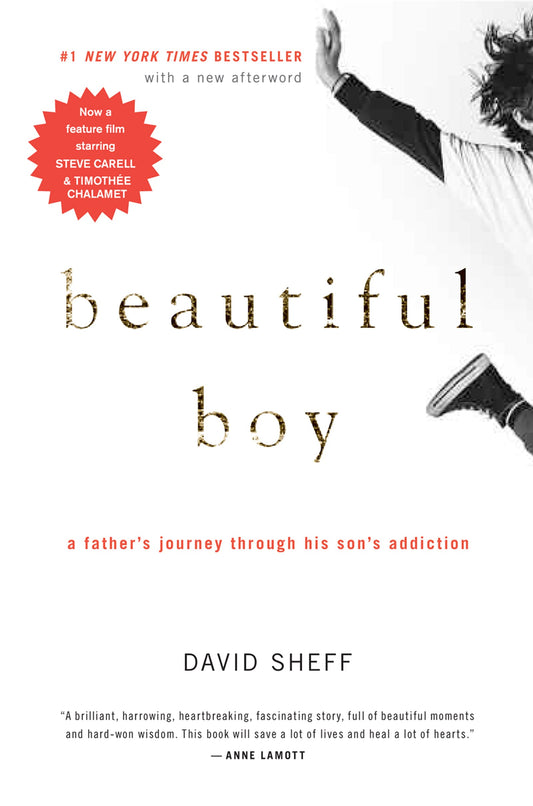 BEAUTIFUL BOY: A FATHER'S JOURNE - 1994