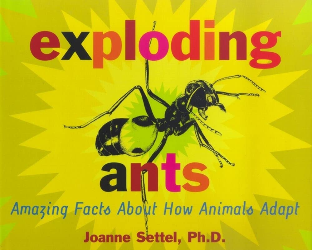 Exploding Ants: Amazing Facts About How Animals Adapt - 4832