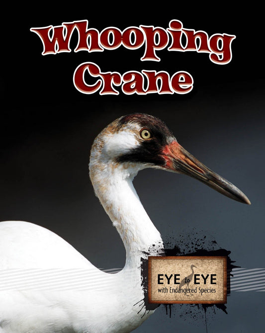 Whooping Cranes (Eye to Eye with Endangered Species) - 1926