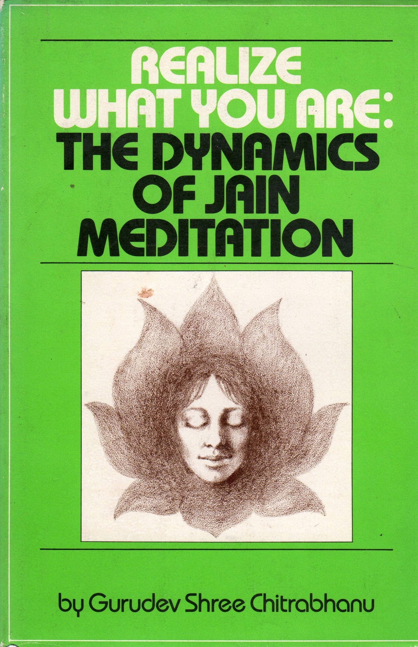 Realize What You Are: The Dynamics of Jain Meditation