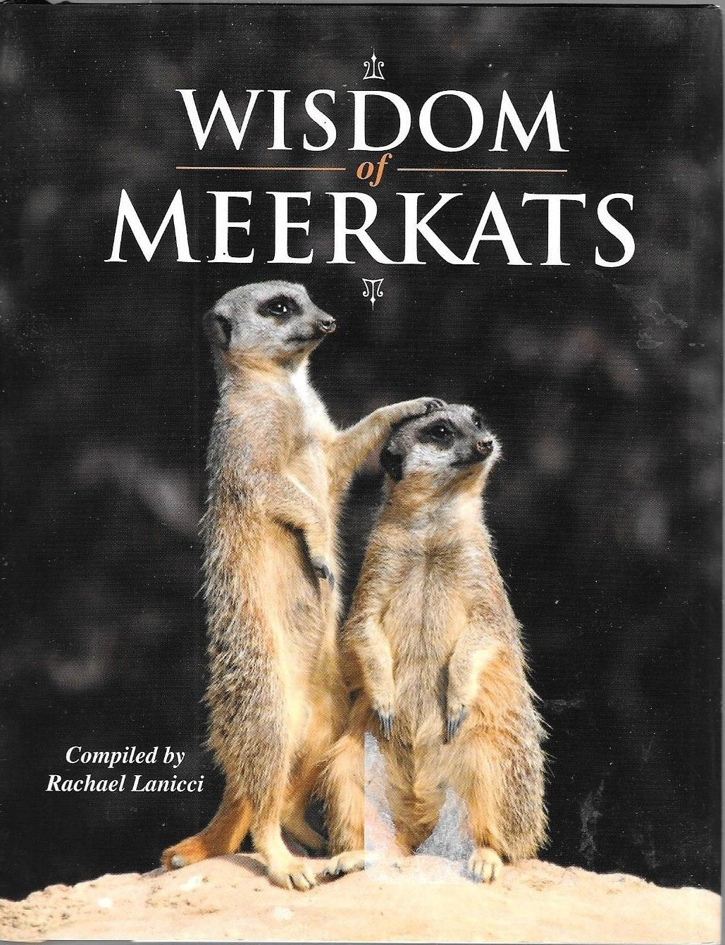 Wisdom of Meerkats - 6524